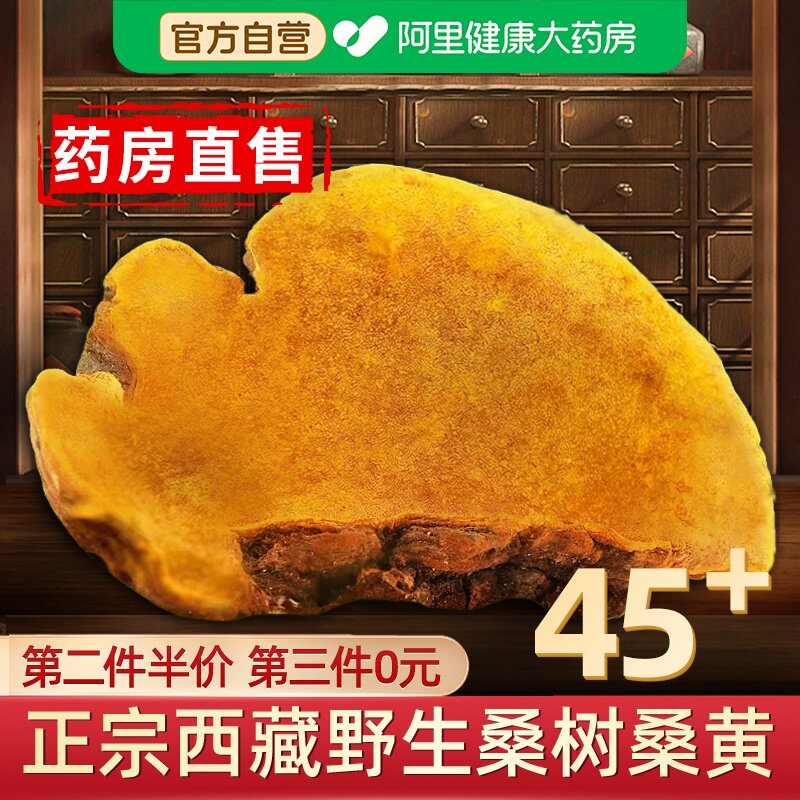 45+野生正宗西藏桑树桑黄正品泡酒药材非灵芝旗舰店中药材官方