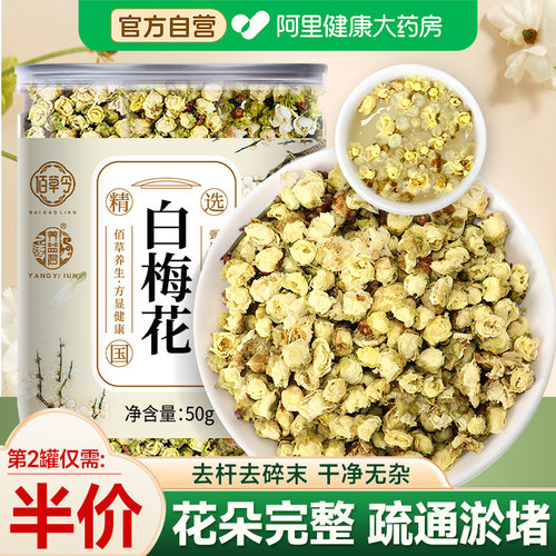 白梅花绿萼梅正品自营