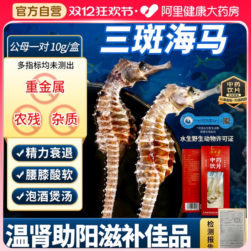 钰宸源三斑海马10g/盒公母配对温肾助阳泡酒中药材海马干货中饮片