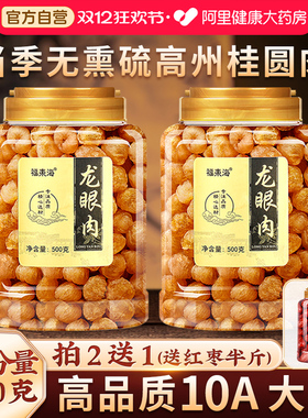 福东海桂圆肉干无核特级肉干500g高州龙眼肉中药材正品官方旗舰店