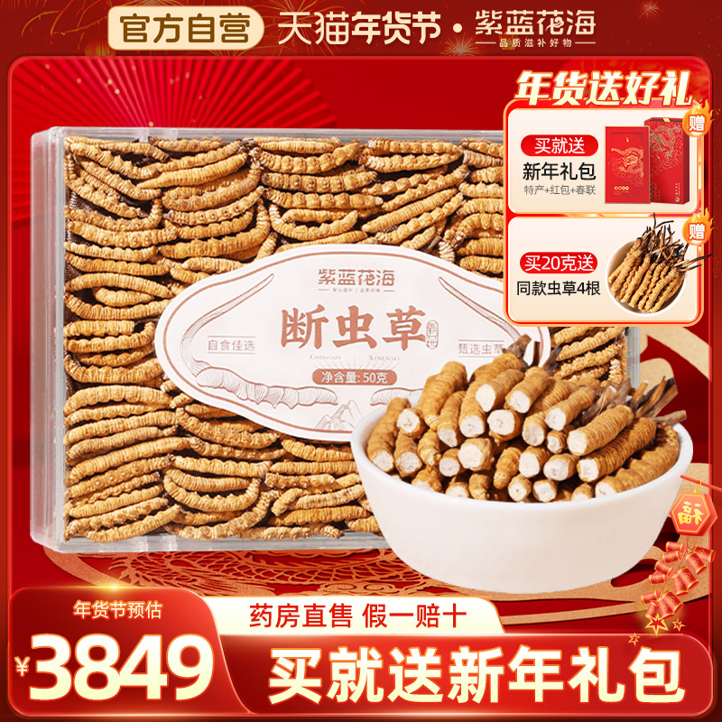 紫蓝花海非新鲜冬虫夏草断草50克断草罐装正品干货佳品滋补可泡酒