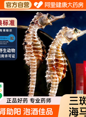钰宸源三斑海马干货3g装海马中药材泡酒一公一母温肾助阳中药饮片