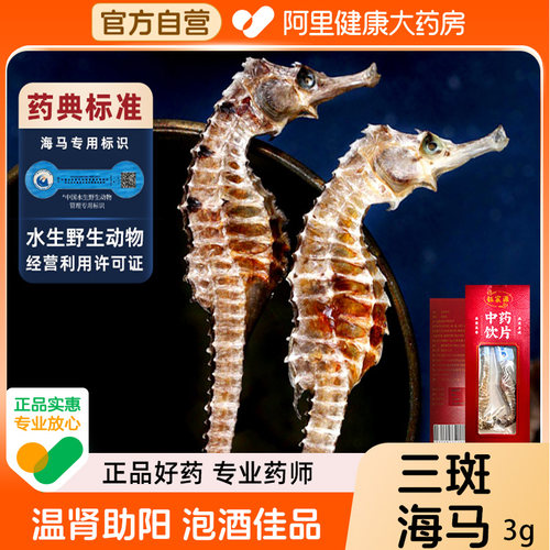 钰宸源三斑海马干货3g装中药材泡酒一公一母中药饮片正品