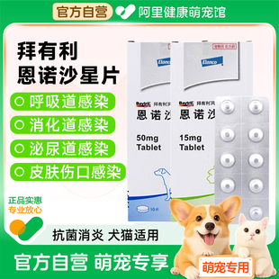 拜有利风味片狗狗猫咪消炎药犬恩诺沙星宠物尿闭皮肤尿道感染感染