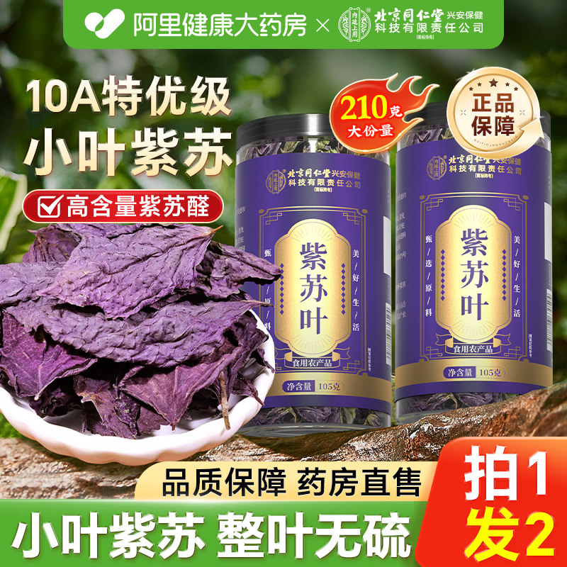北京同仁堂内廷上用紫苏叶2瓶新鲜食用中干药材泡水喝官方旗舰店