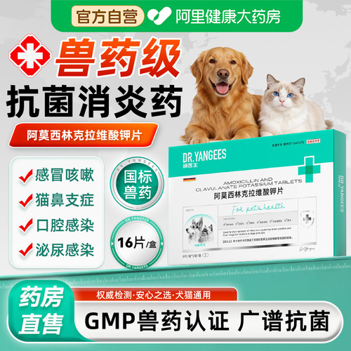 杨医生阿莫西林克拉维酸钾片猫鼻支速诺消炎药猫咪狗感冒泌尿感染