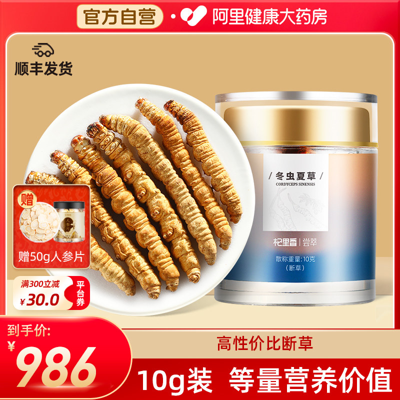 冬虫夏草断虫草虫肉节10克装正宗干货罐装青海养生断草无竹签