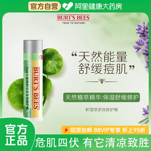 伯特小蜜蜂积雪草多效修护膏应急改善痘肌舒缓晒后泛红4.25g