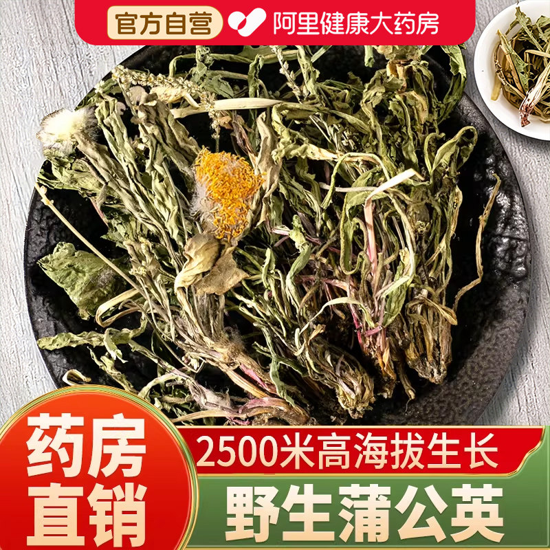 蒲公英野生整根蒲公英茶正品特级药材夏枯草蒲公英养生茶