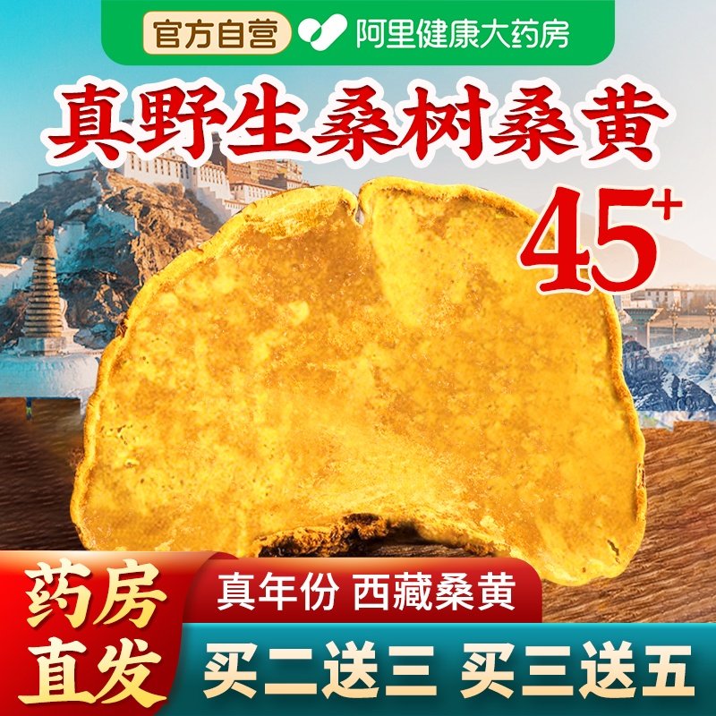 西藏野生45+桑树桑黄搭灵芝孢子粉茶官方旗舰店正品桑黄茶中药材