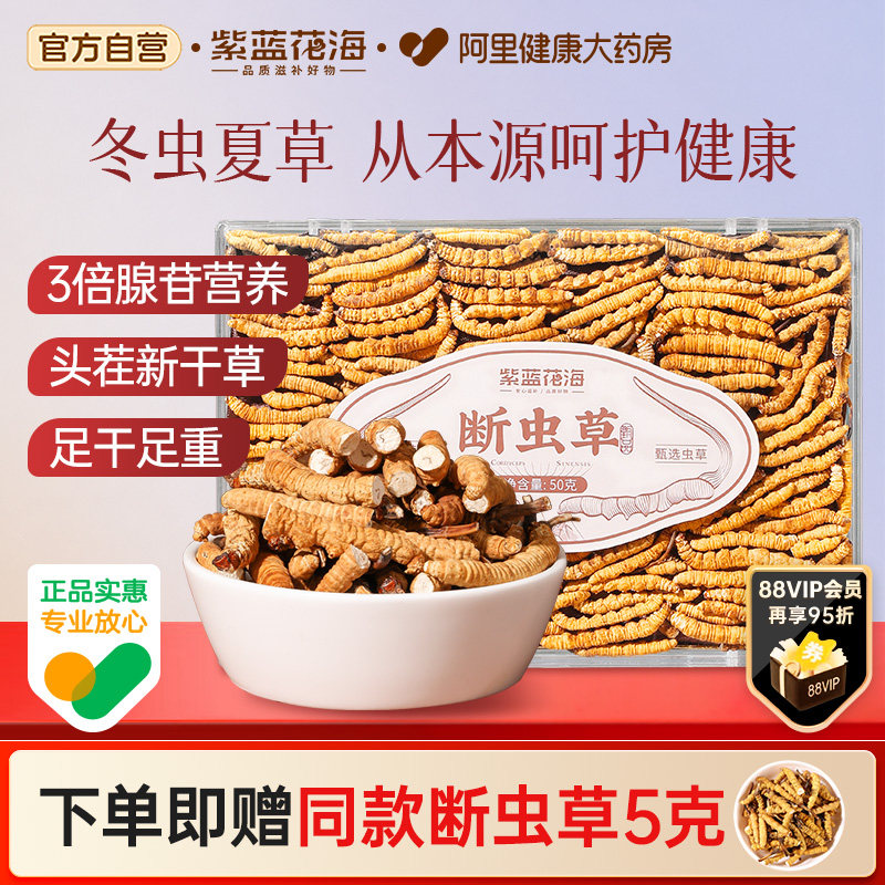 紫蓝花海头茬冬虫夏草大肉节断草50克正品断虫草高品质滋补泡水