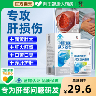 修正中和鸿业牌灵芝姜黄胶囊增强免疫力辅助保护化学性肝损伤JNAL