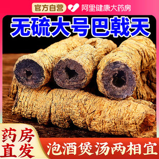 巴戟天韭菜籽搭杜仲中药材特级野生牛大力组合旗舰店正品 泡水泡酒