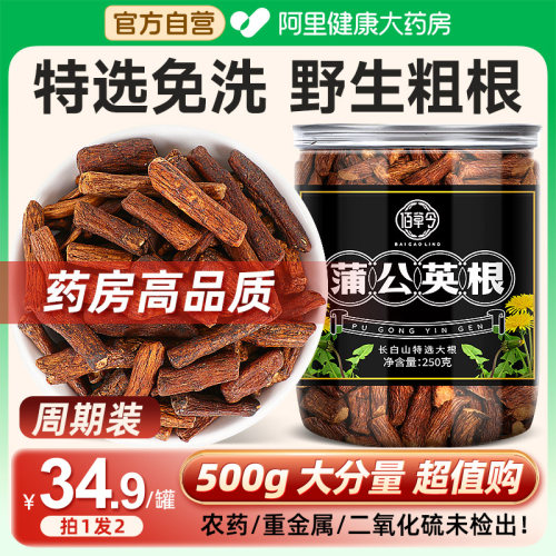 野生蒲公英根茶长白山