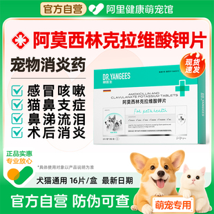 杨医生阿莫西林克拉维酸钾片猫鼻支速诺消炎药猫咪狗感冒泌尿感染