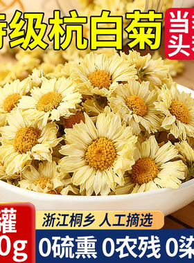桐乡特级杭白菊菊花去火清热洋甘菊金丝皇菊胎菊正品官方旗舰店
