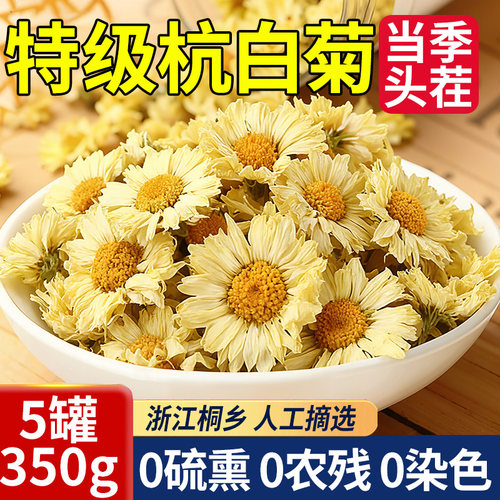 【央ma力荐菊花茶】100%清热去火