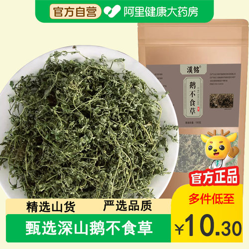 鹅不食草中药材中草药鹅不吃草粉