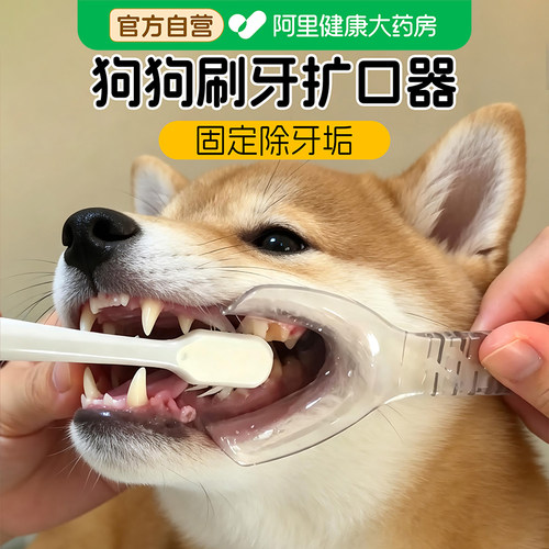 狗狗刷牙辅助器刷牙固定器口腔清洁辅助除牙垢开口器侧边扩口器