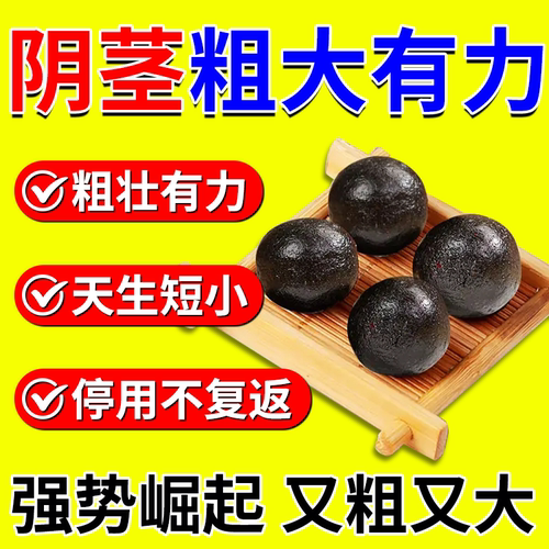 【藏地非遗】男性专用摆脱短小变粗牡蛎固精强肾用手过度黑丸子