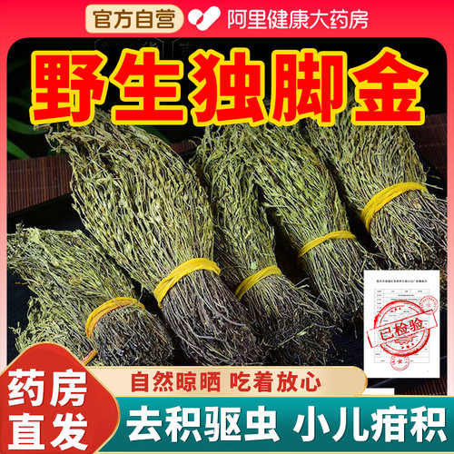 野生独脚金中草药材广西独角金小孩儿童疳积草新鲜晒干消积食煲汤