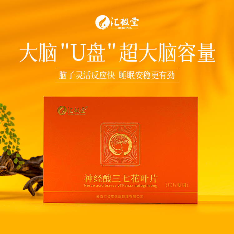 汇极堂神经酸三七花叶片0.5g*30粒*2瓶协助增强中老年记忆力