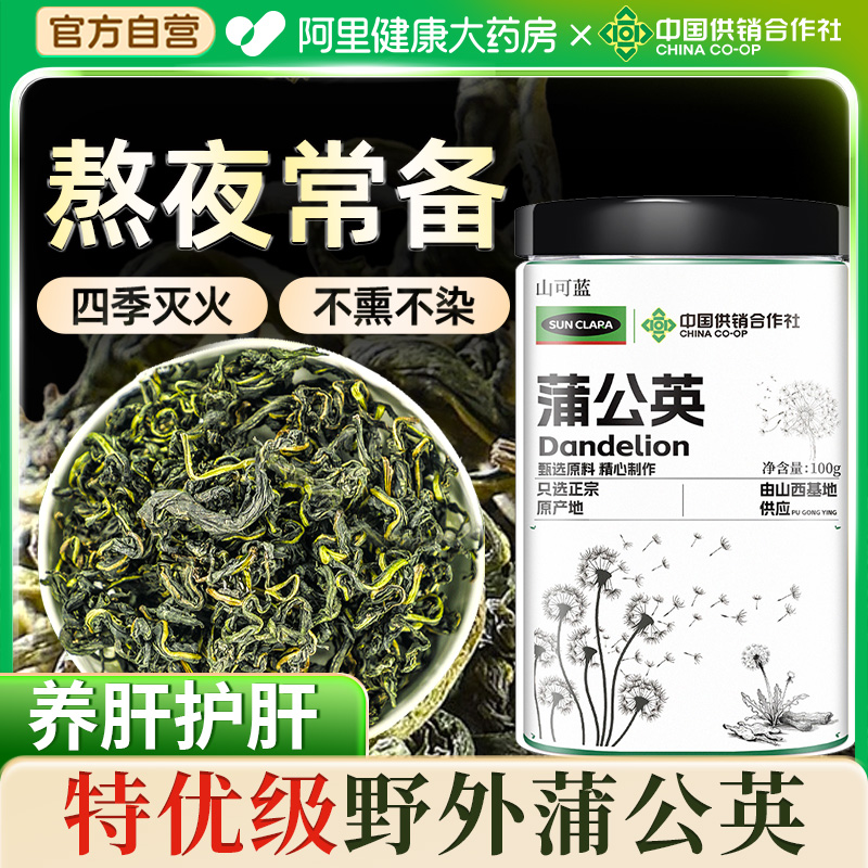 蒲公英特优级中草药材