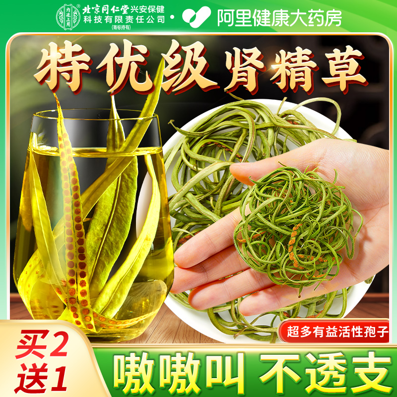 （长白山野生小叶）肾精茶