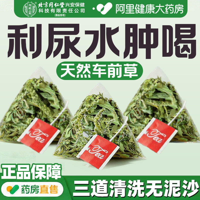 车前草泡水喝的功效与作用尿酸野生干货感染中药材尿路干袋泡茶降