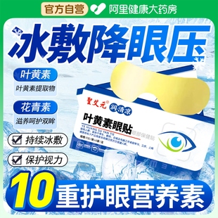 叶黄素冰敷眼罩眼贴缓解眼疲劳儿童成人一次性眼罩冷敷护滋润眼贴