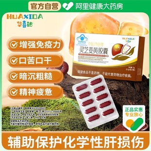 华喜达中和鸿业牌灵芝姜黄胶囊化学性肝损伤保护 阿里健康自营
