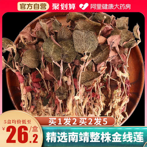 福建正宗金线莲干货非野生养肝护益熬夜去火养生茶官方旗舰店