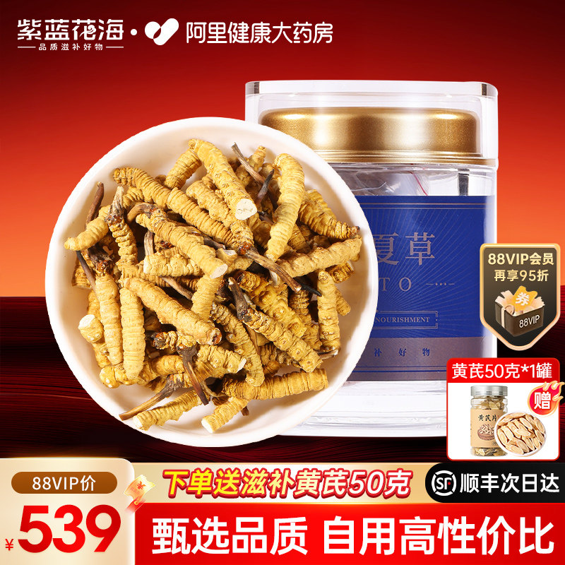 紫蓝花海头茬冬虫夏草正品干货断虫草官方旗舰店自食佳选滋补品