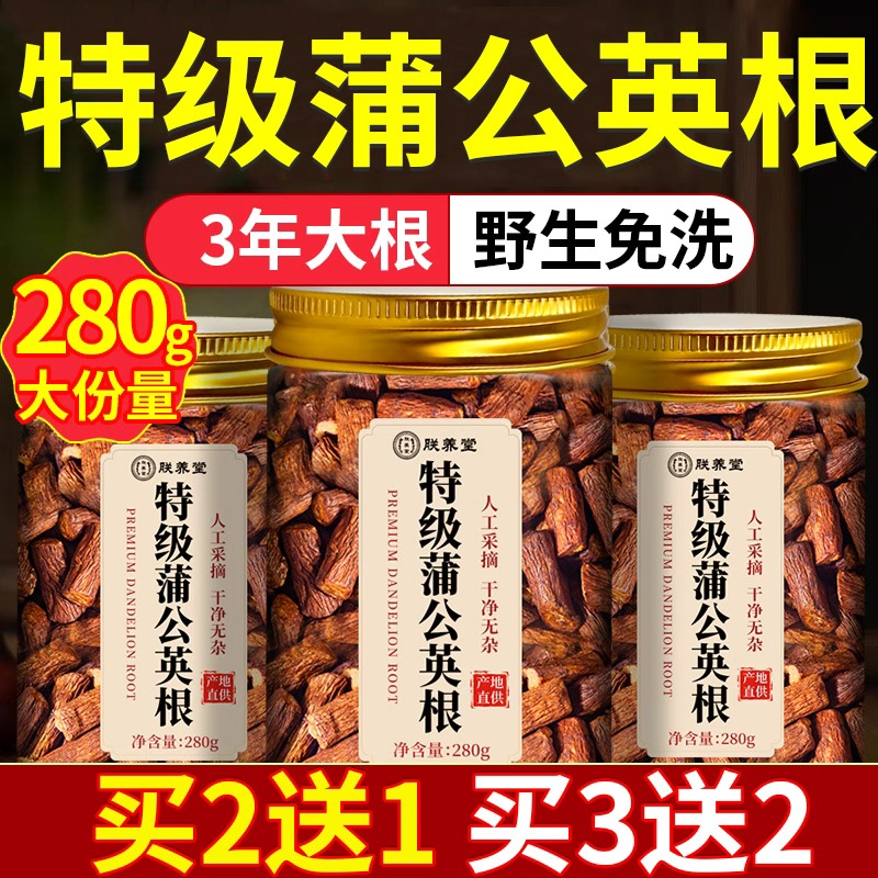 特级野生蒲公英根茶正品官方旗舰店长白山野生蒲公英的根茶大罐