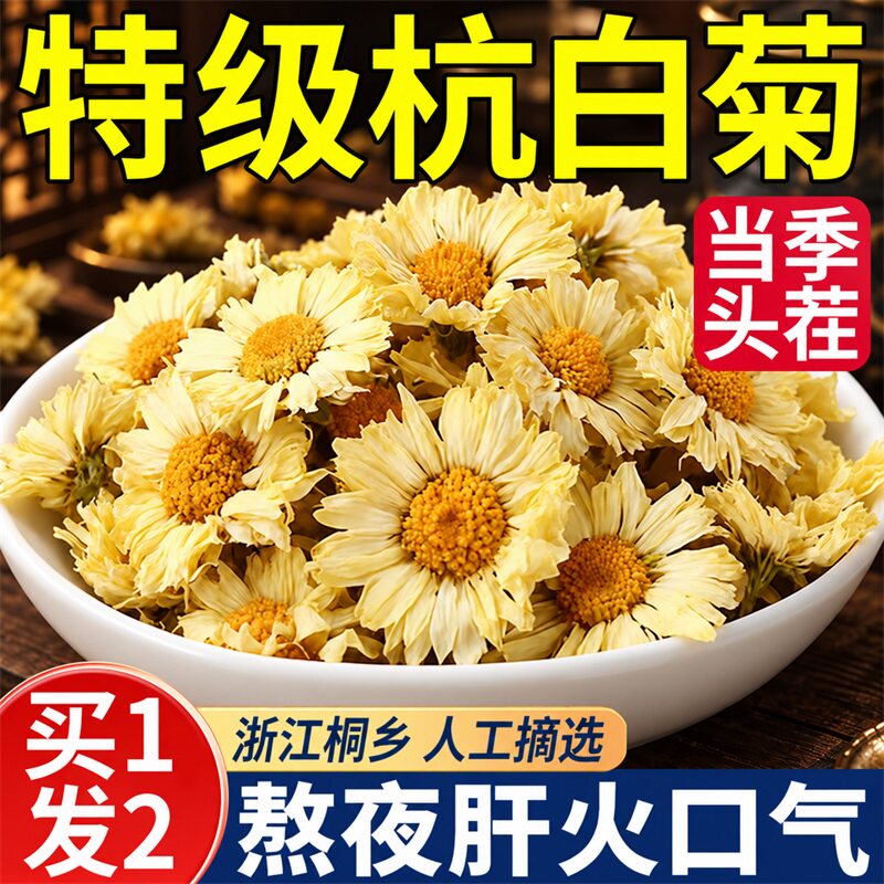 特级杭白菊菊花茶去青火热解清肝养护肝明目毒桐乡正品官方旗舰店