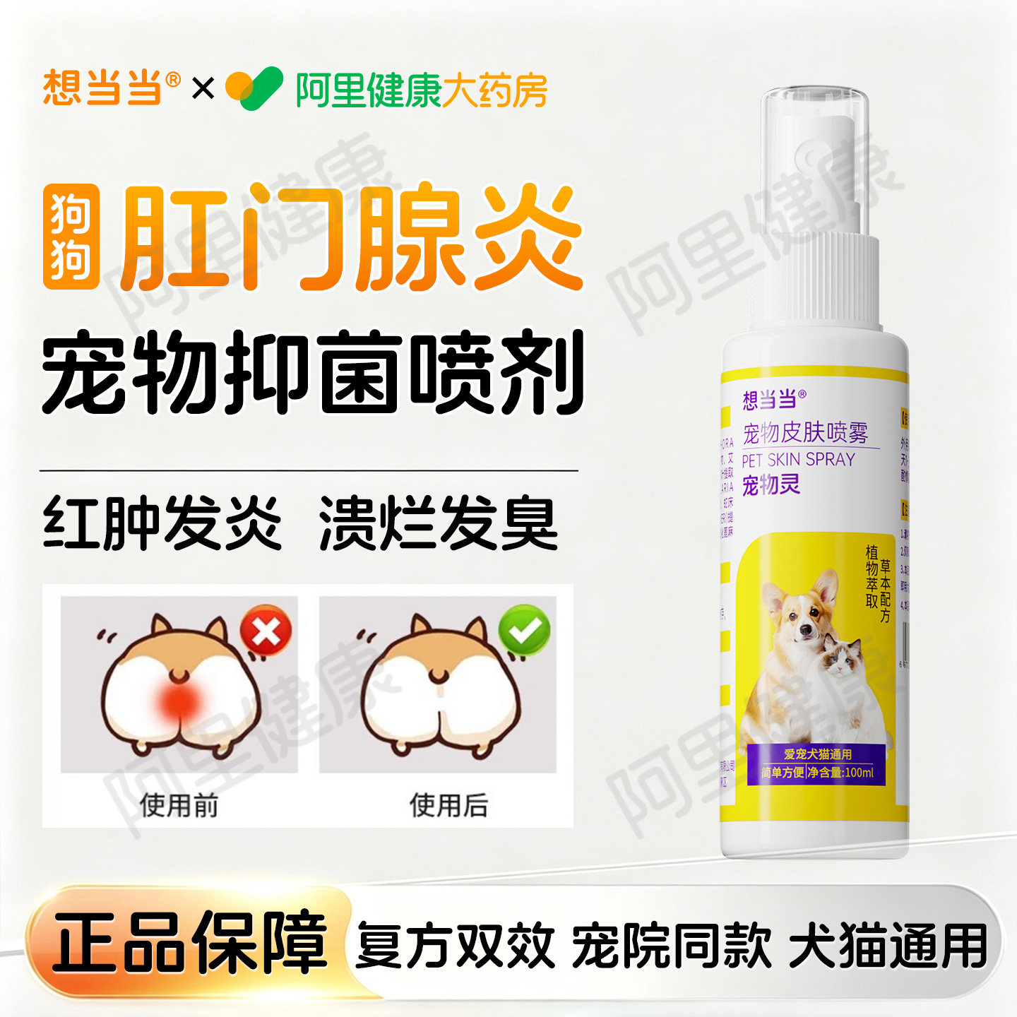 狗狗肛门腺炎专用猫咪肛周阴囊屁股蹭地发炎瘙痒感染红痒脓肿细菌