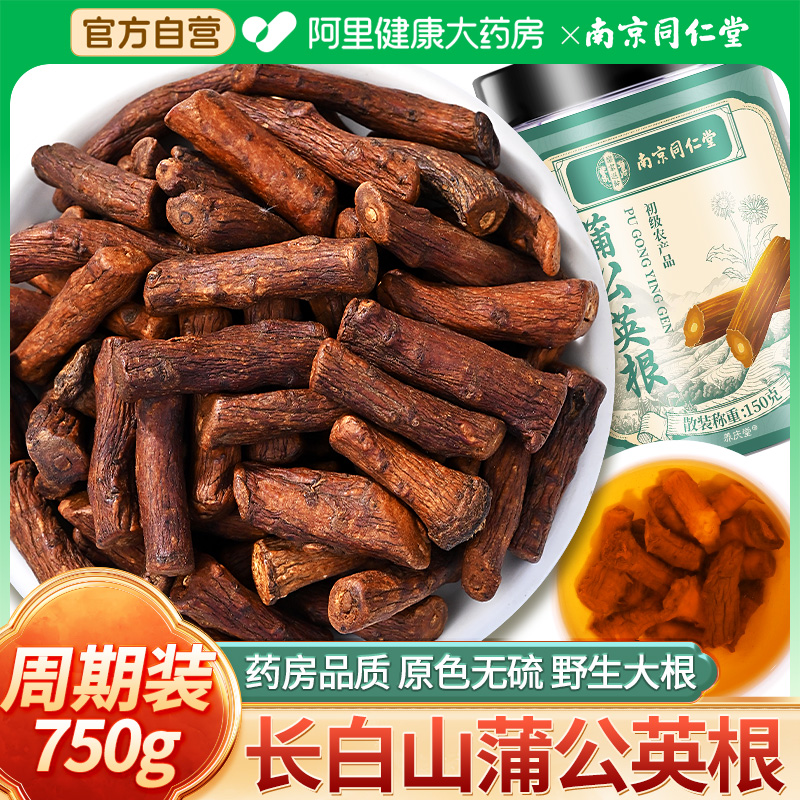 同仁堂炒熟蒲公英根野生去火茶叶