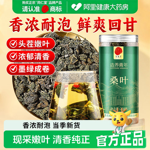 北京同仁堂桑叶250克养生茶