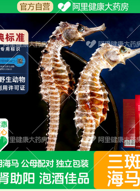 钰宸源三斑海马10g/盒公母配对温肾助阳泡酒中药材海马干货中饮片