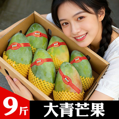 大青芒金煌芒果急鲜丰