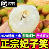 水果广东茂名高州冷链 包邮 顺丰妃子笑荔枝5斤新鲜现摘正宗当季