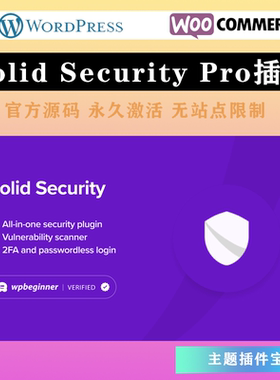 Solid Security Pro 汉化中文版WordPress专业防火墙安全防护插件