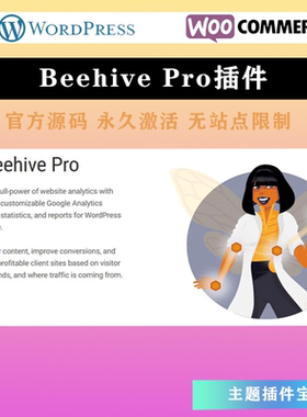 Beehive Pro 汉化中文版 Analytics分析自定义高级设置插件