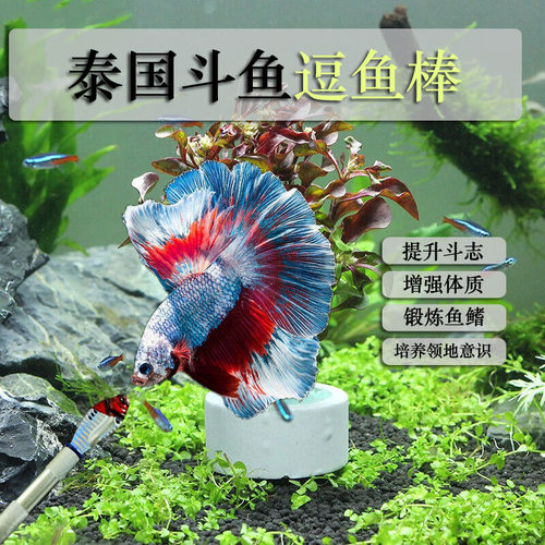 斗鱼棒逗鱼棒铝合金杆不生锈