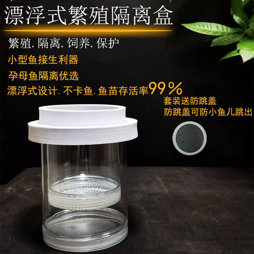 小型鱼繁殖隔离盒通透易观察