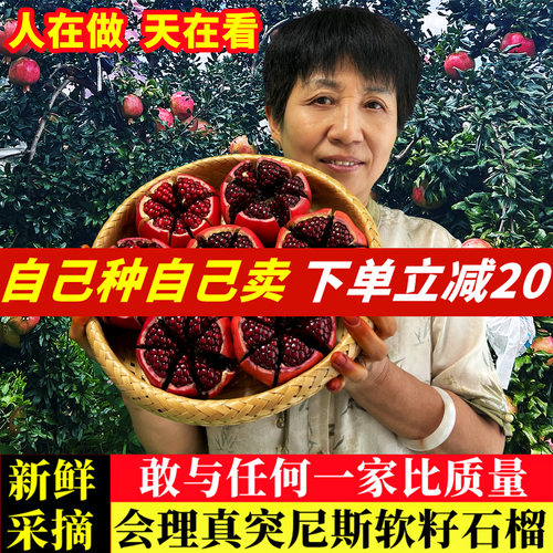 官方推荐|正宗突尼斯软籽石榴