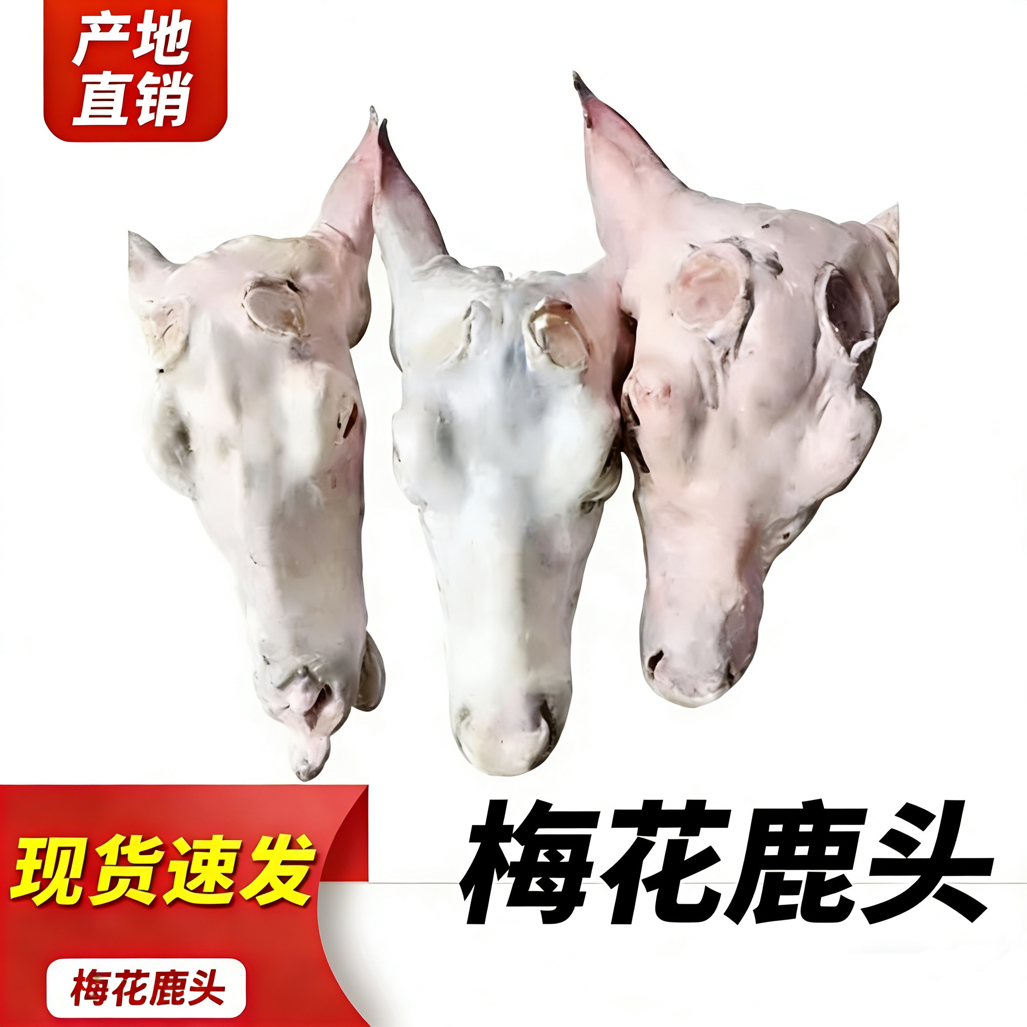 鹿肉鹿腿梅花鹿新鲜鹿头家养梅花鹿新鲜公鹿头肉现杀冷冻包邮