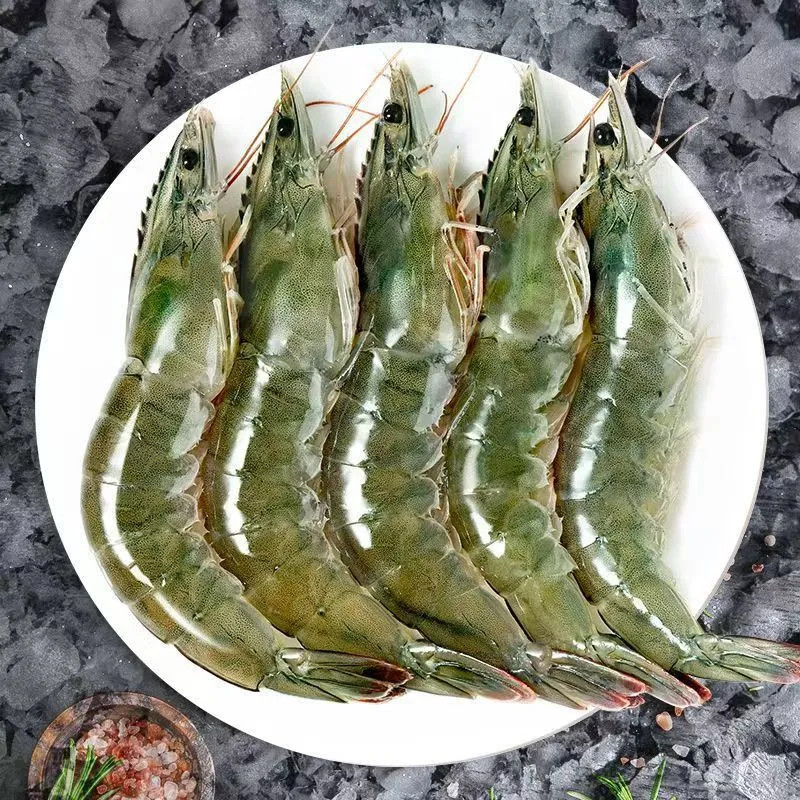 青岛大虾鲜活冷冻包邮速冻盐冻海虾鲜活水产大虾海鲜产品