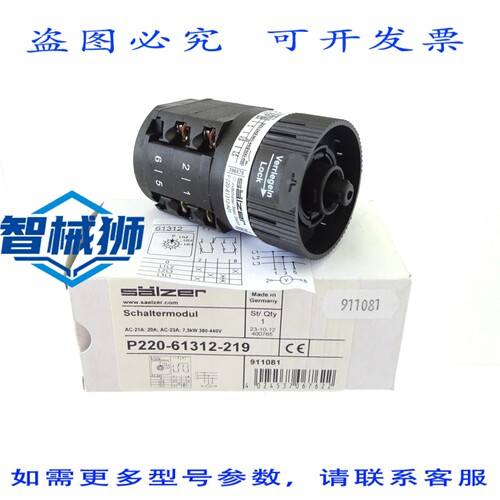 现货供应 电压表开关 SALZER P220-61312-219 开关模块 20A 7.5KW