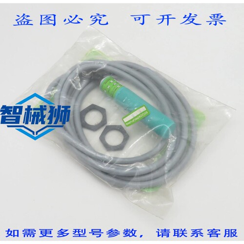 现货供应 SCHONBUCH INSOR IBGT1814 接近开关，电感式传感器，PN